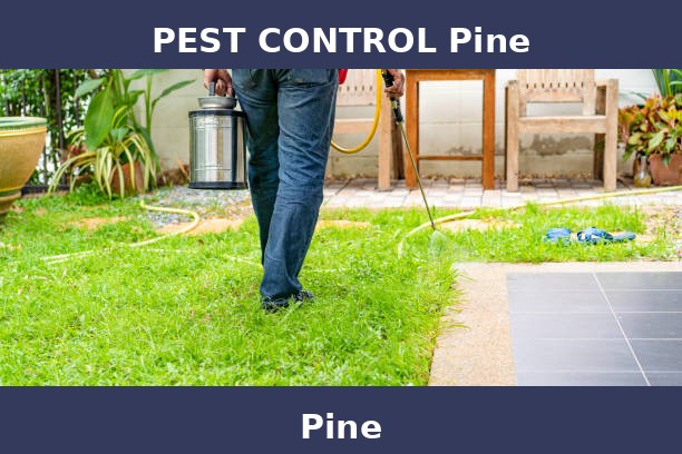 PEST CONTROL Pine